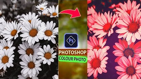 1Minute Photo Edit | Snapseed Photo Editing Tutorial Step by Step GO Tech #124