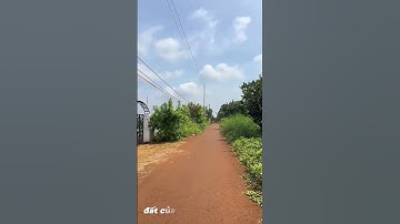 Cô Hoa Cần Tiền Bán Gấp ,Đất Vườn 1.057m2 Ở Châu Đức ,Bà Rịa Vũng Tàu Để Trả Nợ#shorts #batdongsan