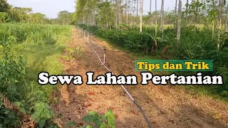 Sewa Lahan Pertanian, Berikut Ini Tips dan Triknya