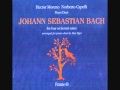Miniature de la vidéo de la chanson Suite No. 2 In B Minor, Bwv 1067: I. Ouverture