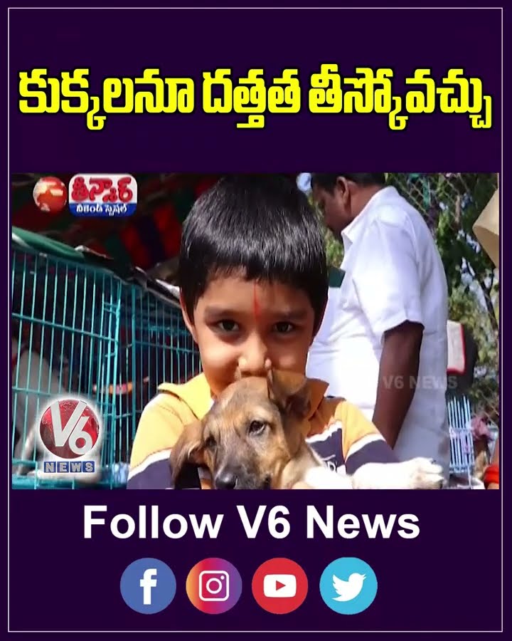 Adopt A Street Dog Through Telangana Pet Adoption Union On Every Sunday At Neredmet | V6 Teenmaar