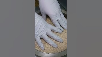 Quy Trình Sản Xuất Dầu Sinh Học (Bio Oil) Từ Ruồi Lính Đen | Ruồi Lính Đen