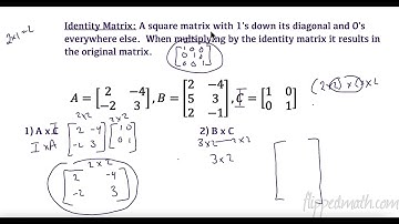 AP Precalculus – 4.11 The Determinant and Inverse of Matrices