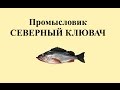 Русская Рыбалка 3.99 Промысловик 3 - Северный клювач