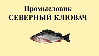 Русская Рыбалка 3.99 Промысловик 3 - Северный клювач