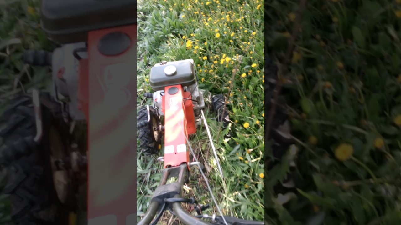 1x Fortschritt Knauf Für Ausrückhebel Oder Lenker Produktbild-Vorschau 3