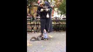 Puppet feeds squirrel