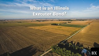 What is an Illinois Executor Bond