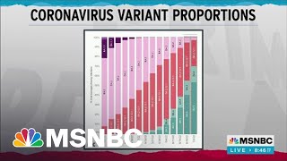 What To Know About The Covid Variant, BA.5, Behind A New Wave Of Infections