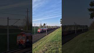 Class DB z węglarkami na szlaku Rogów - Koluszki #class #db #kolej #pociąg #railway #shorts #train