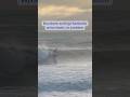 Storm Surfing Humberto Come On Baby By Wes Smith Apple Music Spotify Youtube