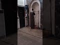 الأذان Live صلاة العصر مسجد المأمون محرم بك للقارئ طارق محمد 