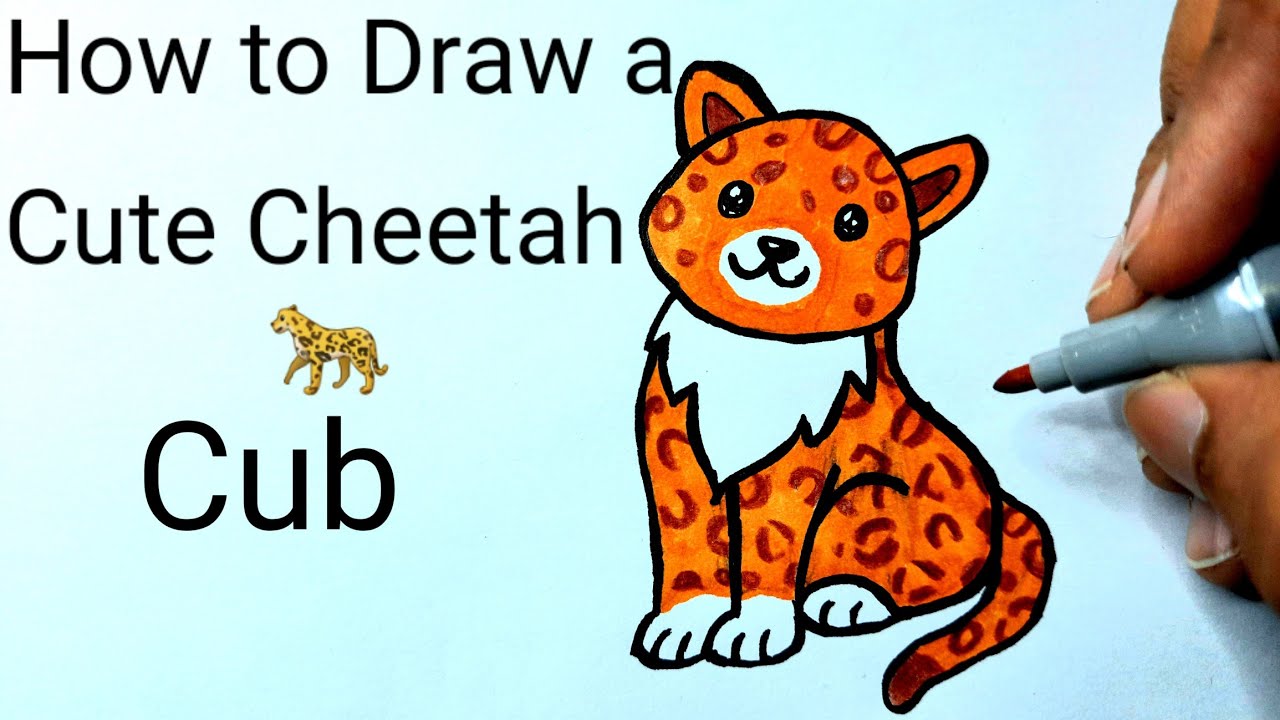 How To Draw A Cheetah Cub Easy