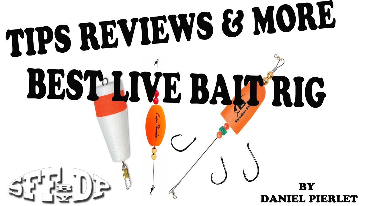 Tips Best Rig for Live Bait Fishing By Daniel HD Video 103 YouTube