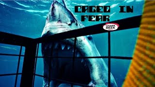 Caged in Fear by heathsharky 1,084 views 1 year ago 38 minutes