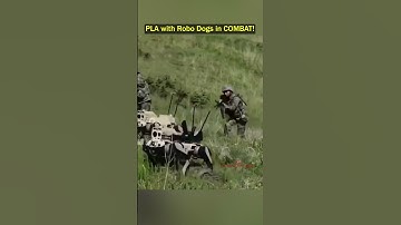Chinese Army Deploys Robot Dogs With Rifle