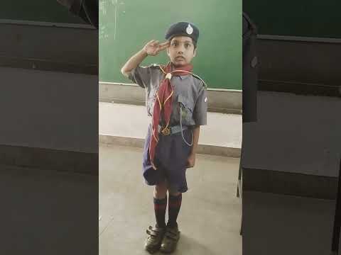 Cubs And Bulbul Salute