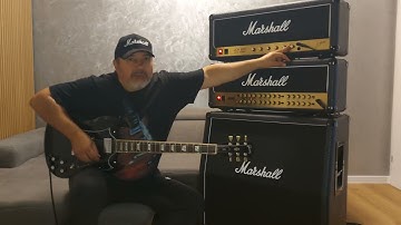 Marshall JCM800 2203 vs JVM 410H