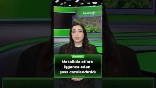 Masallıda atlara iş96nc6 edən şəxs c6zal4nd!r!ldı  #masallı #at #polis #azerbaycan #xəbər