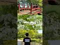 วันหยุดโชเฮ ออกเดทชมธรรมชาติ 🌳