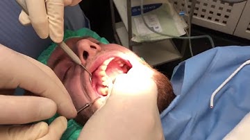 PenguinRFA The Movie