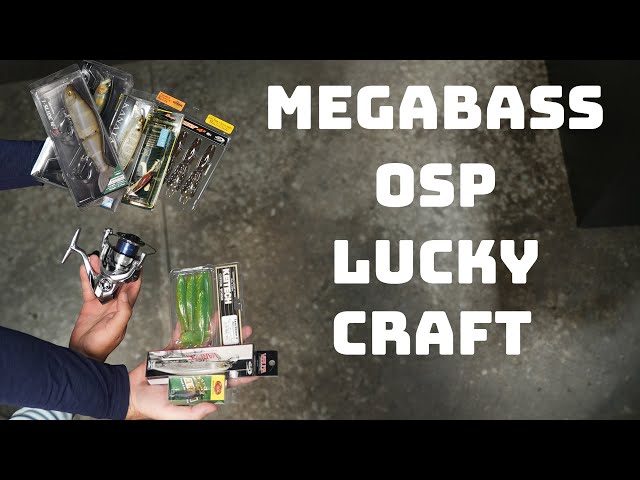 $4 Lucky Craft and Megabass? - Fishing Tackle - Bass Fishing Forums