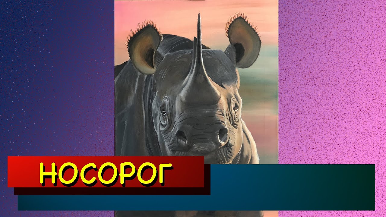 Носорог
