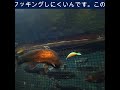 アタリが有ったらフックチェックしてね！なぜならそのアタリがフックポイントをダメにしているかもしれません。