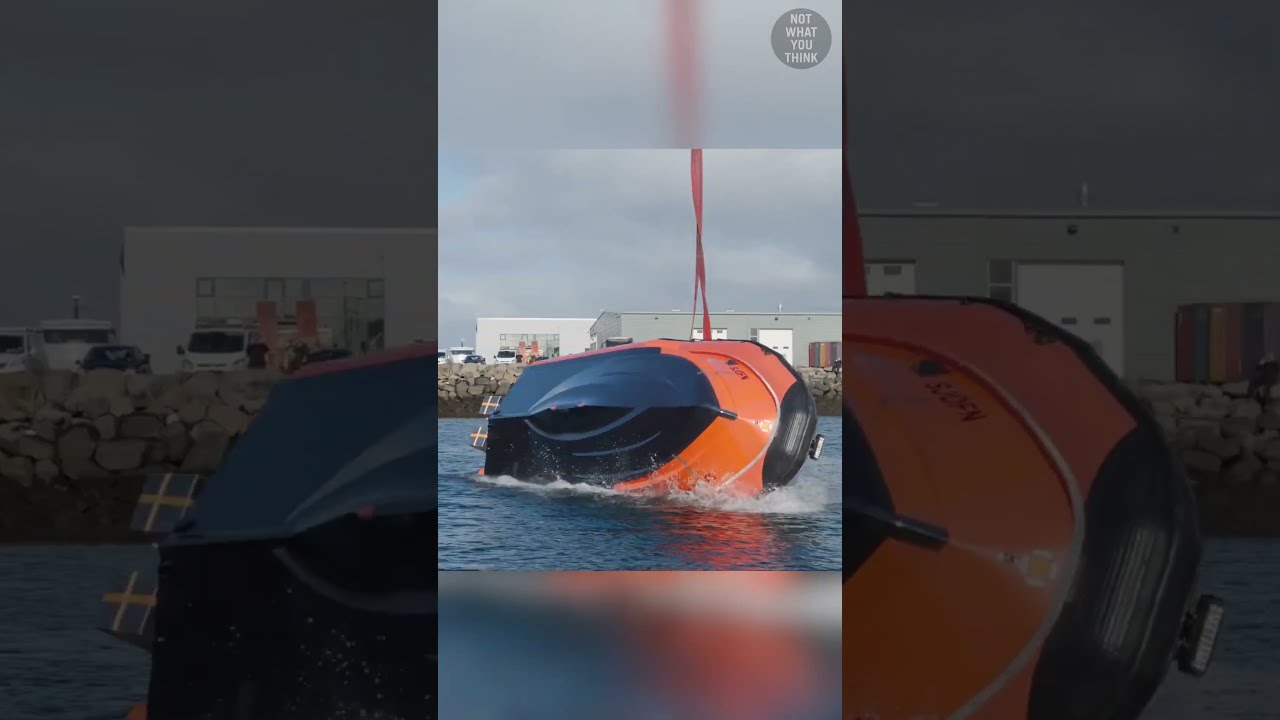 The Boat That Doesn T Capsize Shorts
