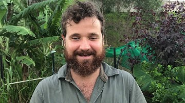 Permaculture - Ecological Worldview