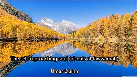 The self reproaching soul (al nafs al lawwāmah)...... Umar Quinn