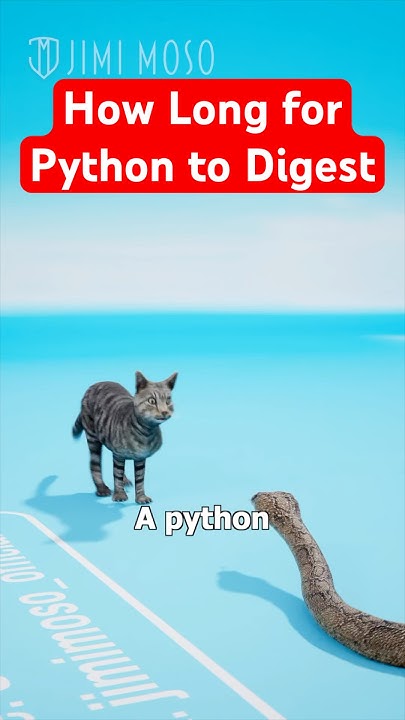 How Long for Python to Digest This Animal 🐍 #shorts #science #snakes ...