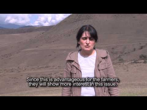 ეკო გრანტების პროგრამა -  ეკოლოგიურად უსაფრთხო საძოვრები