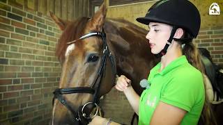 Rebeccas Tipps für Reiteinsteiger: Pferde satteln und trensen