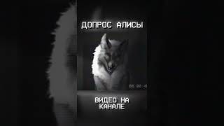 Алиса на допросе в милиции #shorts #зайчик #tinybunny #алиса