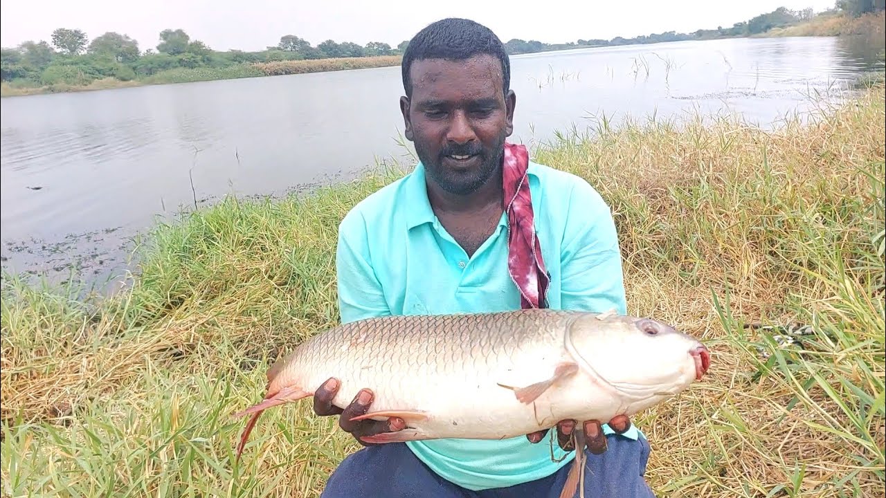Hook Fishing | River Fish hunting | LDR Fishing Videos - YouTube