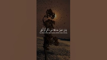 سورة غافر الآية ( 39 - 40 ) بصوت القارئ #مشاري_العفاسي #القرآن_الكريم #تلاوة_هادئة #راحة_نفسية #آيات