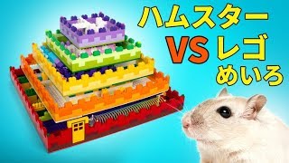 君のハムスターにもぜひ！5階だてハムスター用レゴめいろの作り方🐹🧱🎁