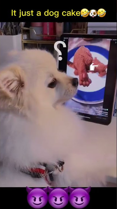 leo come here 🔥🔥🔥🔥🔥🔥😂😂😂🤣🤣🤣🤣 #funny #tiktok #zili Like 👍 / Share ❉ / Subscribe 📢