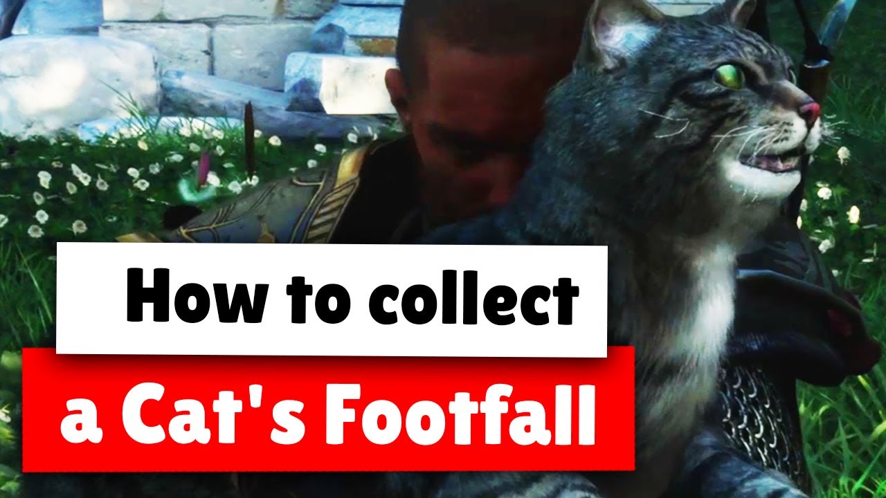 Assassin's Creed Valhalla collect a Cat's Footfall Feline's foot