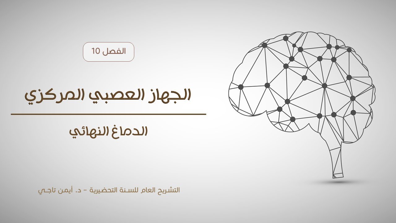 الجهاز العصبي المركزي | الدماغ | التشريح العام للسنة التحضيرية