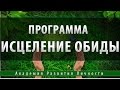 Программа исцеление обиды