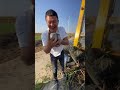 #鱼香肉丝 #中国鱼#中国 #中国人 #fish #how #hunting #manojdey #chinanews
