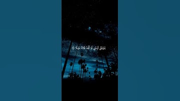 ويوم يعض الظالم على يديه 🤍 | القارئ | محمد اللحيدان 🤍.
