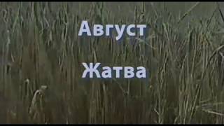 видео: П.И. Чайковский - Времена года. Август. картинка: П.И. Чайковский - Времена года. Август.
