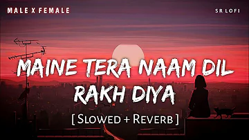 Maine Tera Naam Dil Rakh Diya (Slowed + Reverb) | Raghav Chaitanya, Shreya Ghoshal | SR Lofi