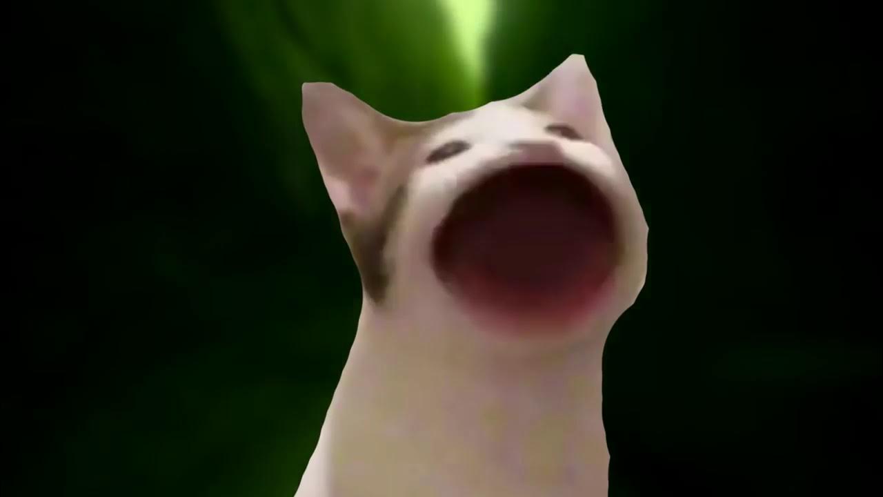 кот мем. Pop cat гифка. кот делает поп. мес скотом с открытым ртом. мемы с котами с открытым ртом.