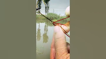 Cách buộc lưỡi câu cá trắm cỏ, cá lăng, cá nheo gọn lẹ #fishing #shorts #8