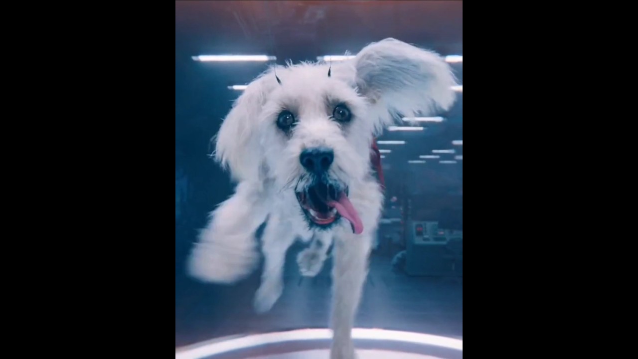 Superman Saves Krypto The Superdog ~ Superman 2025 