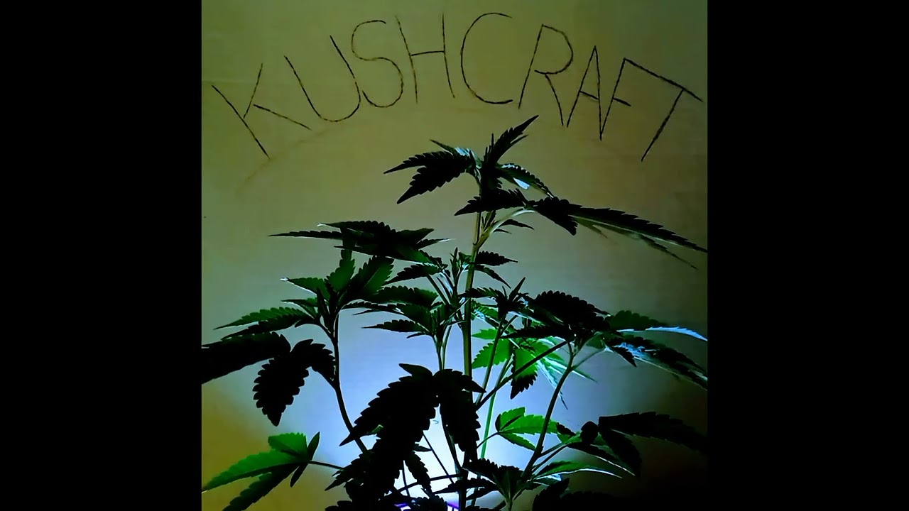 WELCOME to KUSHCRAFT